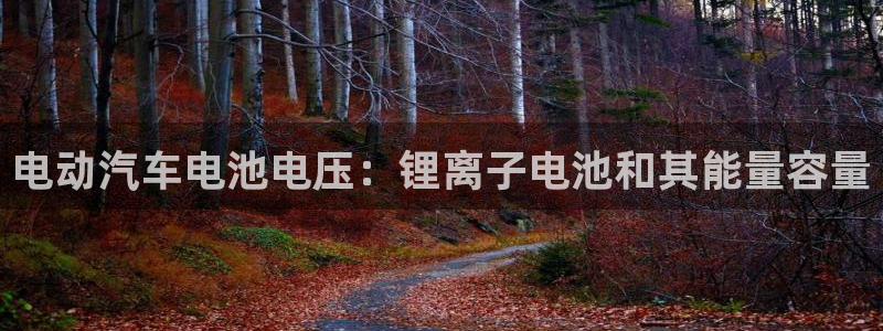 优发国际手机版客户端下载