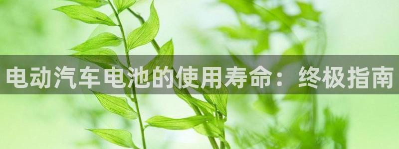 优发国际集团股份有限公司招聘