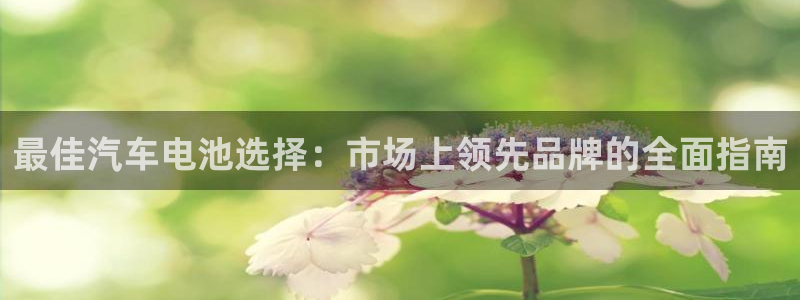 优发国际集团股份有限公司招聘