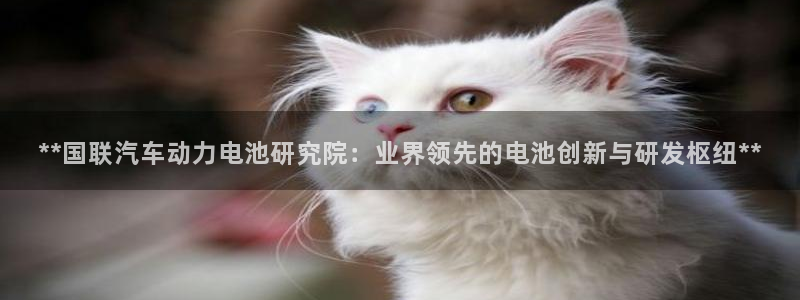 优发国际官网手机版入口
