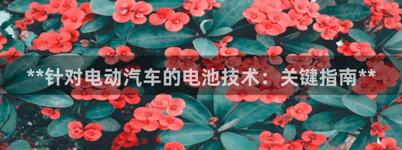 优发国际手机客户端下载安装苹果