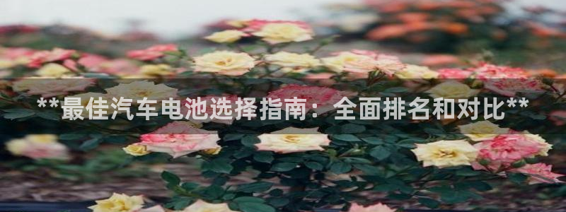 优发国际手机版官网