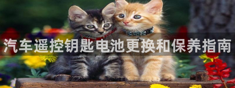 优发国际官网首页