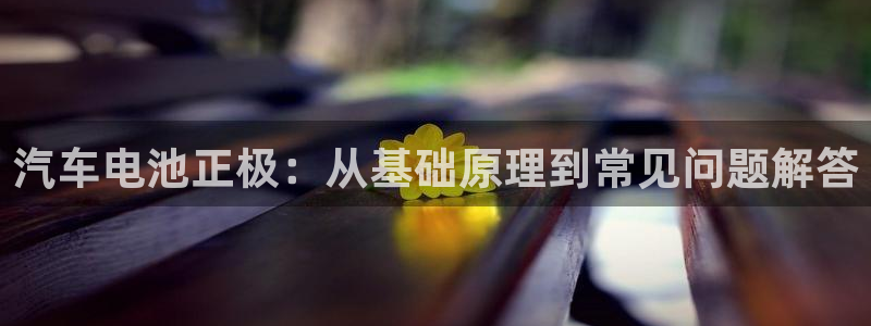 优发国际客服联系方式查询：汽车电池正极：从基础原理到常见问题解答