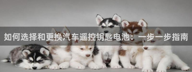 优发国际手机版下载