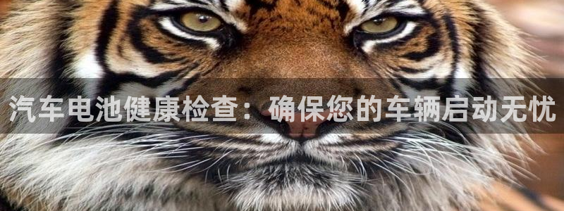 优发国际手机版客户端官网