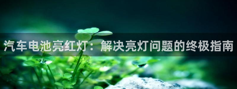 优发国际手机登录下载安装苹果：汽车电池亮红灯：解决亮灯问题的终极指南