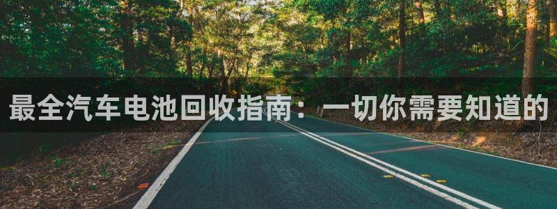 优发国际是大平台吗是真的吗：最全汽车电池回收指南：一切你需要知道的