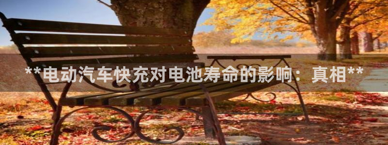 优发国际网站官网
