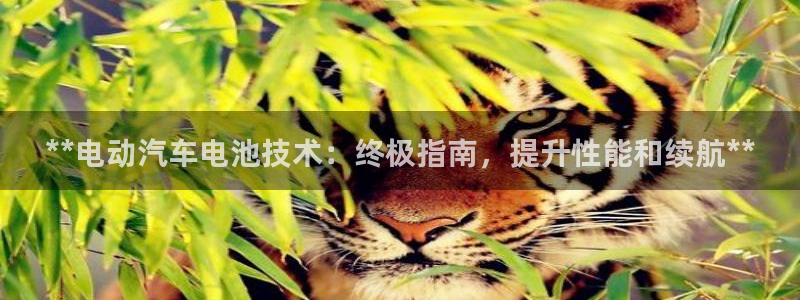 优发国际官网手机版下载安卓：**电动汽车电池技术：终极指南，提升性能和续航**