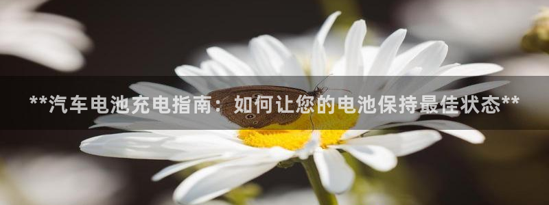 优发国际安卓版下载安装苹果