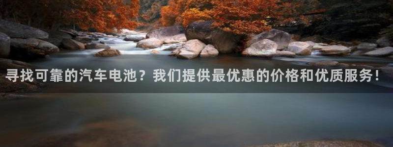 优发国际平台18岁能做吗：寻找可靠的汽车电池？我们提供最优惠的价格和优质服务！