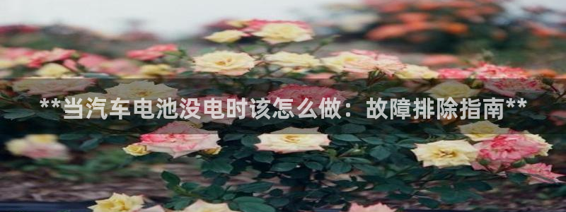 优发国际电话