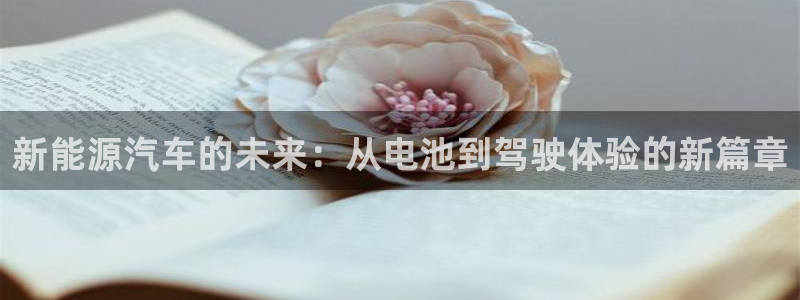 优发国际下载安装app：新能源汽车的未来：从电池到驾驶体验的新篇章