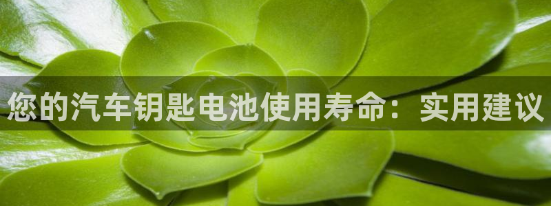 优发国际集团股份有限公司：您的汽车钥匙电池使用寿命：实用建议
