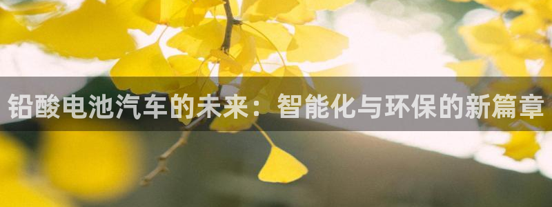 优发国际官方网平台是正品吗：铅酸电池汽车的未来：智能化与环保的新篇章
