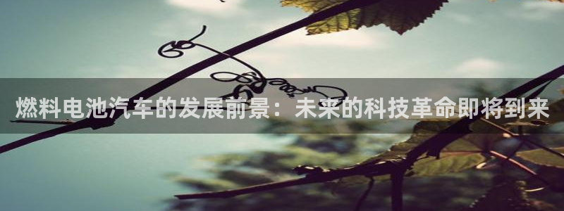 优发国际官方网手机版：燃料电池汽车的发展前景：未来的科技革命即将到来