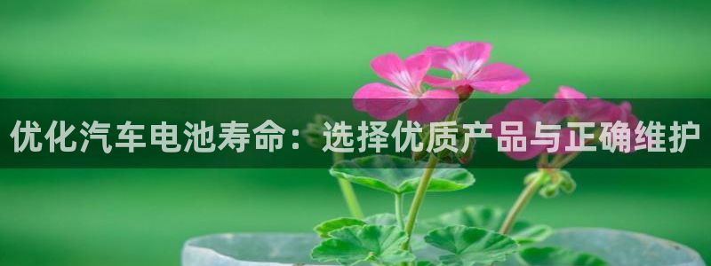 优发国际客服联系方式查询：优化汽车电池寿命：选择优质产品与正确维护