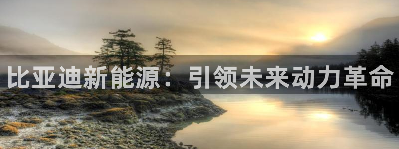 优发国际一首页：比亚迪新能源：引领未来动力革命