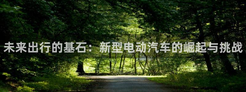 优发国际是真的吗：未来出行的基石：新型电动汽车的崛起与挑战