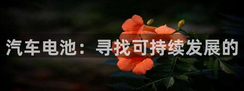 优发国际app登录密码：汽车电池：寻找可持续发展的
