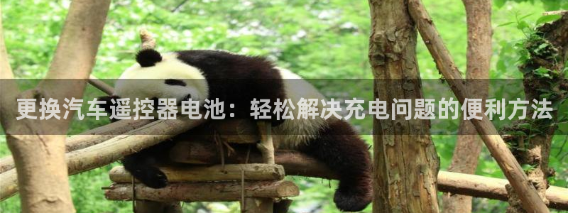 优发国际官网：更换汽车遥控器电池：轻松解决充电问题的便利方法
