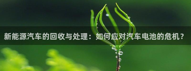 优发国际登录l8：新能源汽车的回收与处理：如何应对汽车电池的危机？