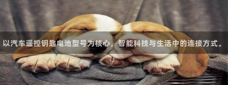 优发国际网官网址是多少：以汽车遥控钥匙电池型号为核心，智能科技与生活中的连接方式。