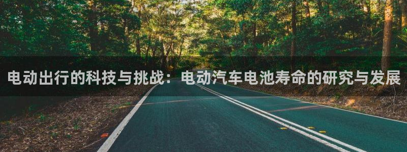 优发国际是大平台吗还是小平：电动出行的科技与挑战：电动汽车电池寿命的研究与发展
