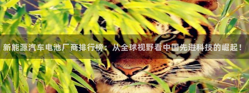 优发娱乐pc版官网：新能源汽车电池厂商排行榜：从全球视野看中国先进科技的崛起！