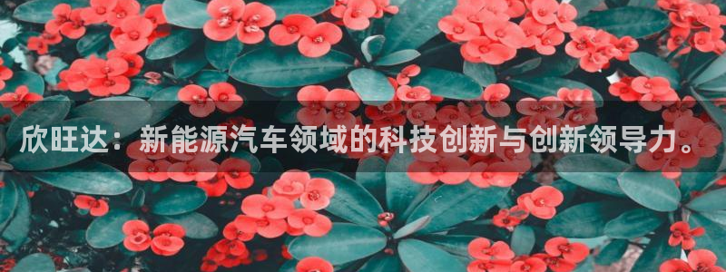 优发国际官网下载安装手机版：欣旺达：新能源汽车领域的科技创新与创新领导力。