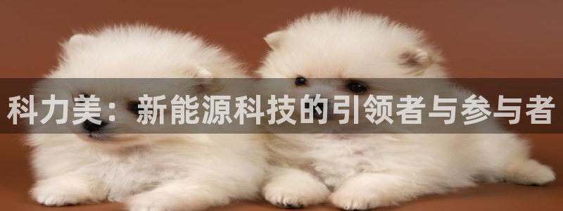 优发国际电话