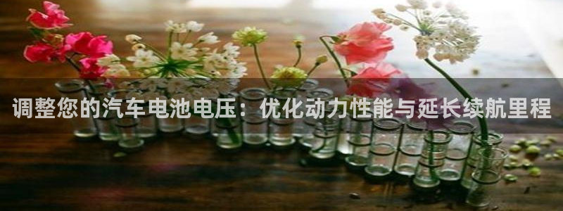 优发国际网官网17w8