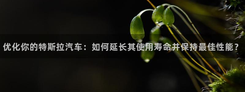 优发国际安卓版下载安装