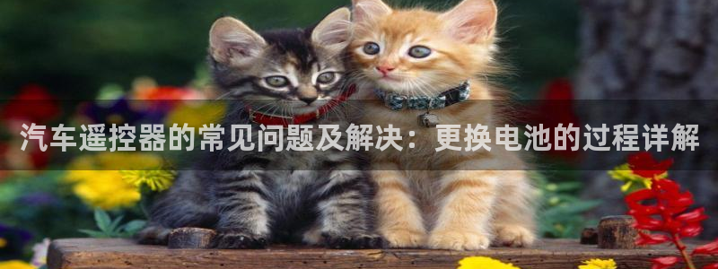 优发国际安卓版下载安装教程：汽车遥控器的常见问题及解决：更换电池的过程详解