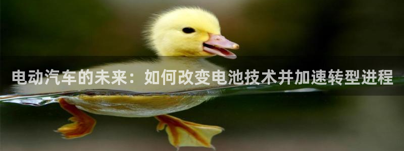 优发国际youfa966