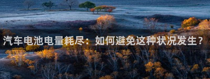 优发国际游戏17岁能玩吗：汽车电池电量耗尽：如何避免这种状况发生？
