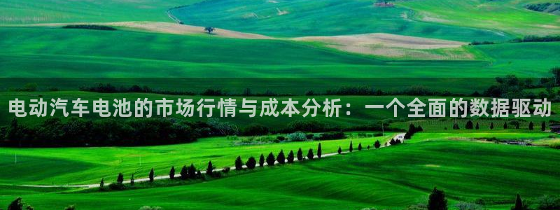 优发国际官网官方网址：电动汽车电池的市场行情与成本分析：一个全面的数据驱动
