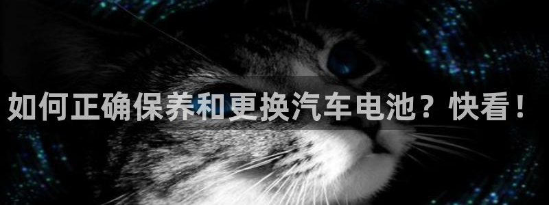 优发国际官网平台