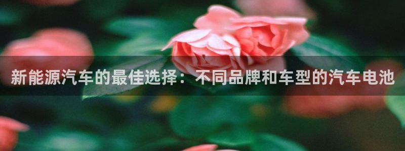 优发国际客服联系方式是什么：新能源汽车的最佳选择：不同品牌和车型的汽车电池