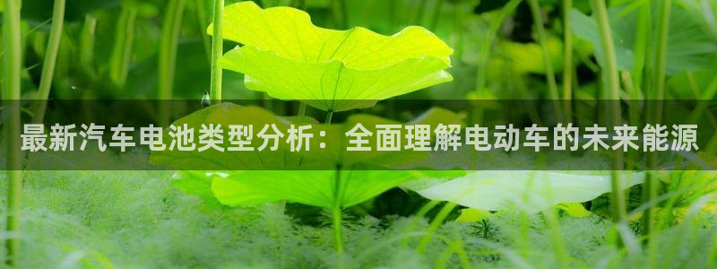 优发国际官方网手机版入口