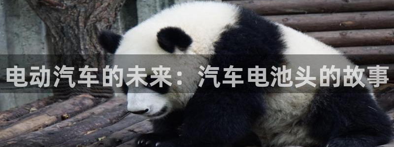 优发国际手机版唯一官网：电动汽车的未来：汽车电池头的故事
