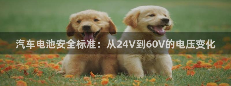 优发国际客服联系方式是什么：汽车电池安全标准：从24V到60V的电压变化