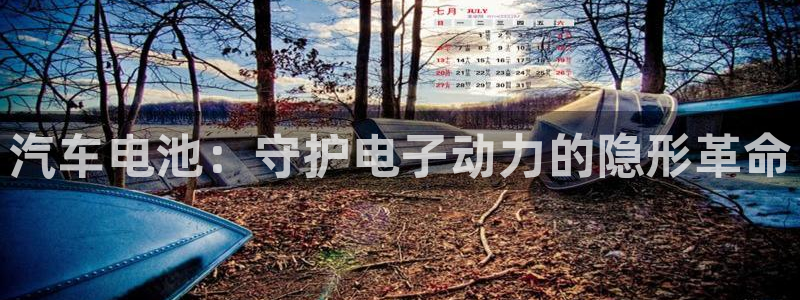 优发国际平台APP：汽车电池：守护电子动力的隐形革命