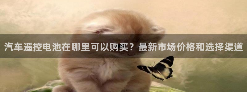 优发国际bob：汽车遥控电池在哪里可以购买？最新市场价格和选择渠道