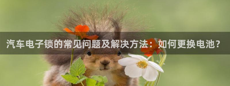 优发国际安卓版下载安装最新版：汽车电子锁的常见问题及解决方法：如何更换电池？
