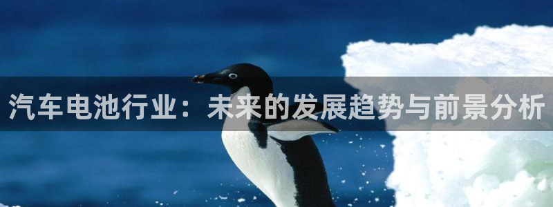 u优发国际首页：汽车电池行业：未来的发展趋势与前景分析