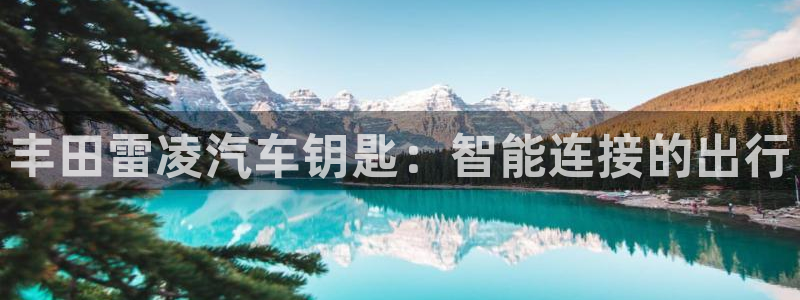 优发国际下载安装app：丰田雷凌汽车钥匙：智能连接的出行