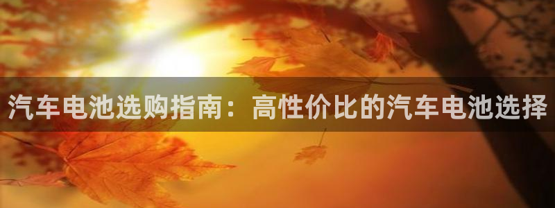 优发国际手机客户端app：汽车电池选购指南：高性价比的汽车电池选择