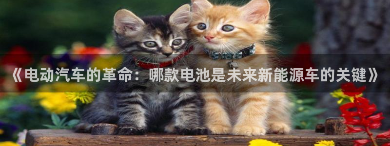 优发国际官网登录：《电动汽车的革命：哪款电池是未来新能源车的关键》